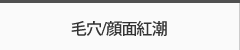 毛穴/顔面紅潮